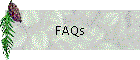 FAQs