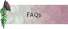 FAQs